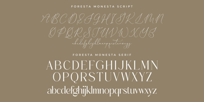 Foresta Monesta Script Fuente Póster 8