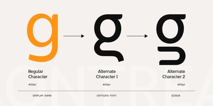 Obtegra Font Poster 5
