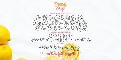 Millesh Script Font Poster 8