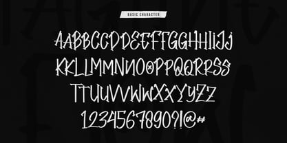 Tagline Flow Font Poster 13