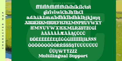 Parfect Silent Font Poster 15