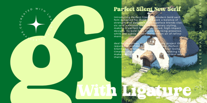 Parfect Silent Font Poster 5