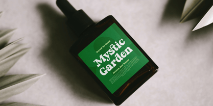 Parfect Silent Font Poster 6