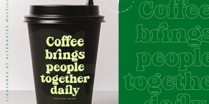 Parfect Silent Font Poster 8