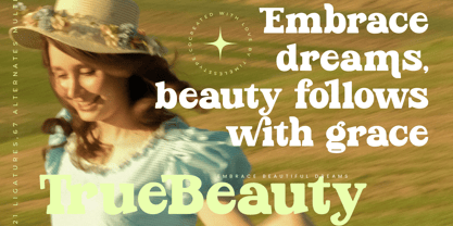 Parfect Silent Font Poster 11