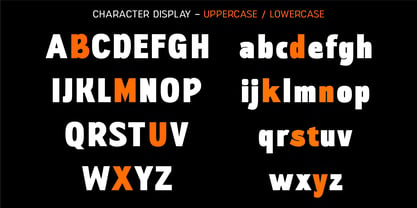 Neuxta Pro Font Poster 7