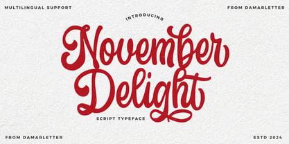 November Delight Font Poster 1