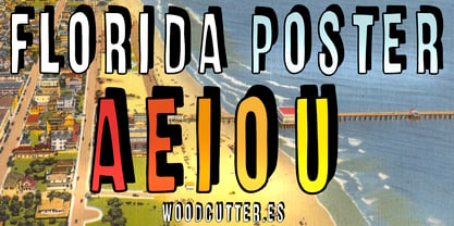 Florida Poster Font Poster 5