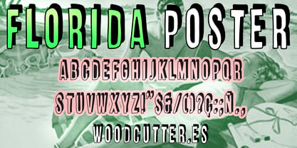 Florida Poster Font Poster 3