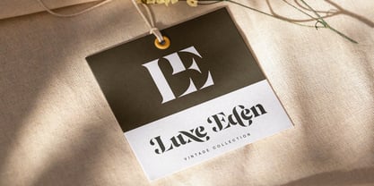 Elagra Font Poster 3