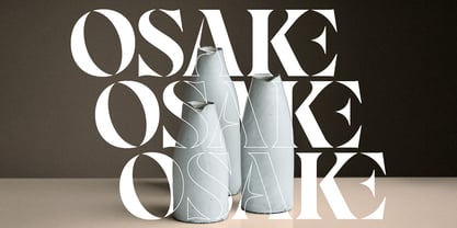 Elagra Font Poster 5