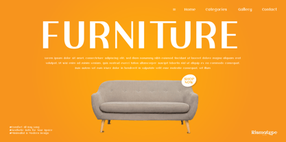 Helyanthus Font Poster 7