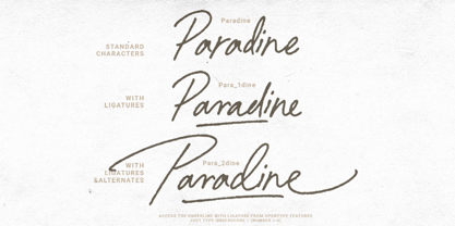 Paradine Font Poster 12