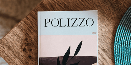 Araline Font Poster 12