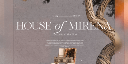 Araline Font Poster 5