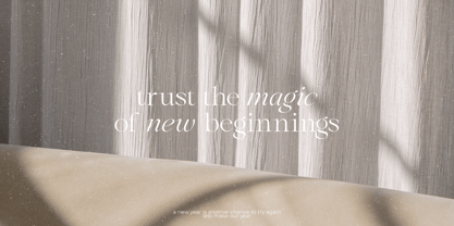 Araline Font Poster 2