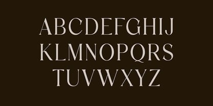 Discographica Font Poster 9