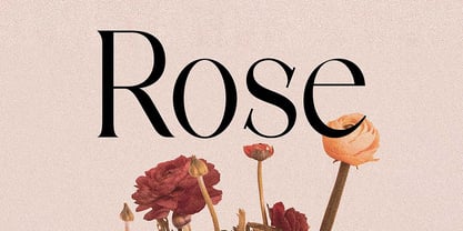 Discographica Font Poster 3