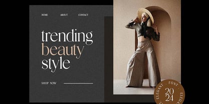 Discographica Font Poster 4