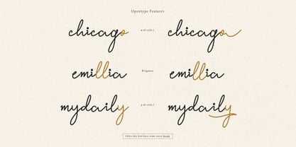 Willey Medium Font Poster 9