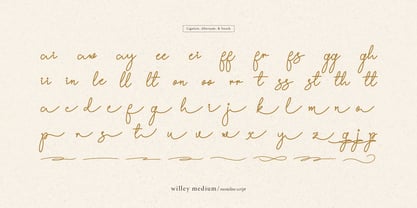 Willey Medium Font Poster 15