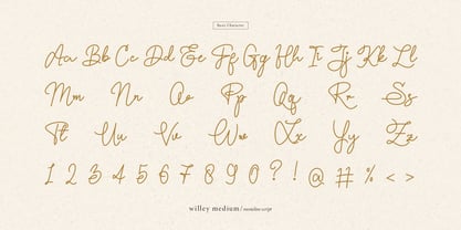 Willey Medium Font Poster 13