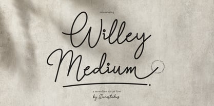 Willey Medium Font Poster 1