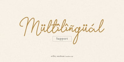 Willey Medium Font Poster 14