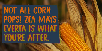 Popcorn Challenge Font Poster 4