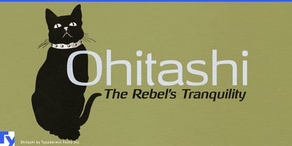 Ohitashi Font Poster 1