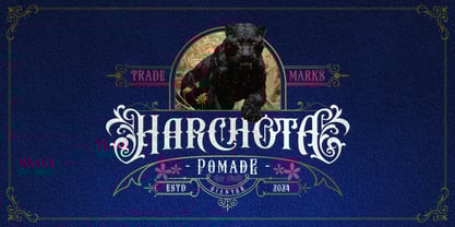 Money Brother Font Poster 5