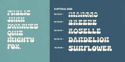 Mag Funky Font Poster 5