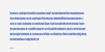 Atnan Serif Font Poster 4