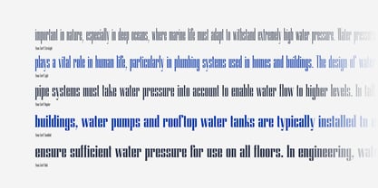 Atnan Serif Font Poster 6