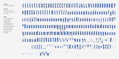 Atnan Serif Font Poster 9