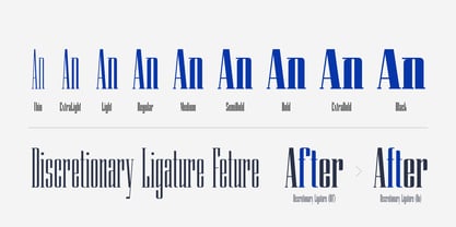 Atnan Serif Font Poster 8