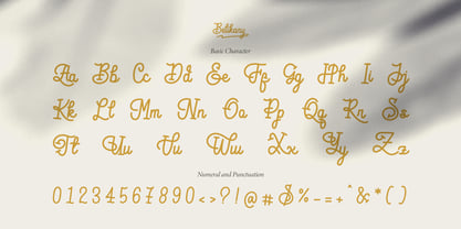 Belikary Font Poster 13