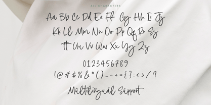 Austone Winter Font Poster 6