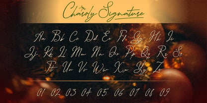 Charoly Font Poster 4