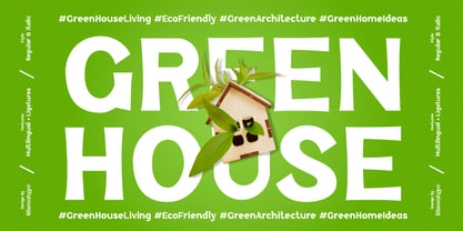 Megifera Indica Font Poster 6