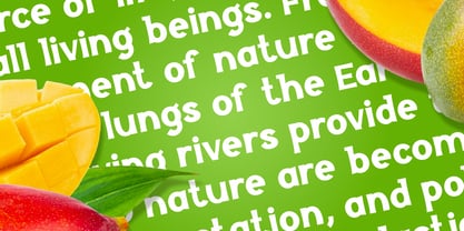 Megifera Indica Font Poster 5