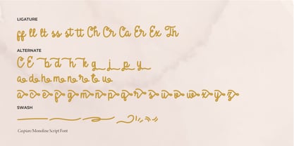 Caspian Font Poster 15