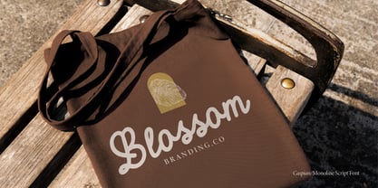 Caspian Font Poster 12