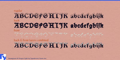 Snowgoose Font Poster 6