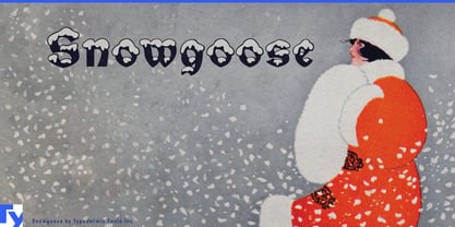 Snowgoose Font Poster 1