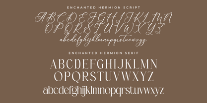 Enchanted Hermion Script Font Poster 8