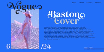 Mandusa dimplay Font Poster 13