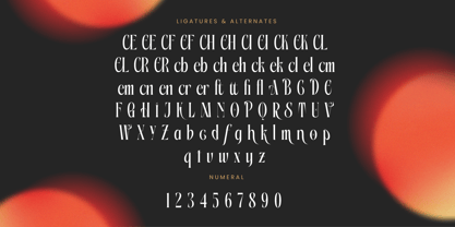 Aligner Font Poster 14