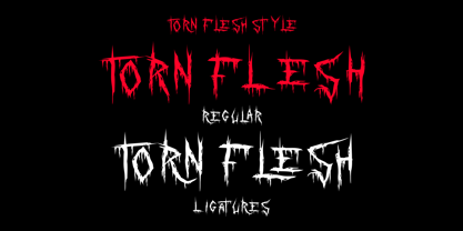 Torn Flesh Font Poster 10