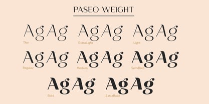 Paseo Font Poster 8